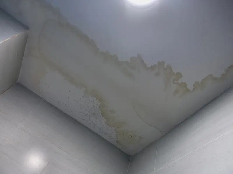 Mold prevention after water damage Edgewater FL